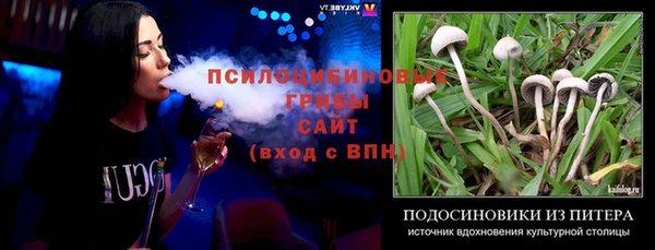 марихуана Заводоуковск