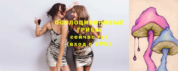марихуана Заводоуковск