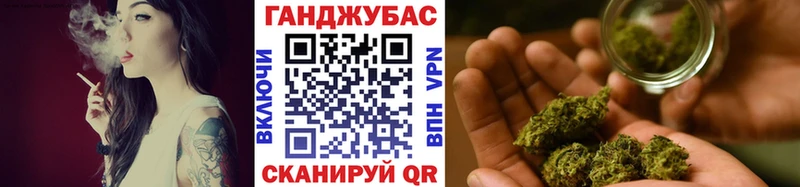 где купить наркоту  Назрань  Бошки марихуана SATIVA & INDICA 